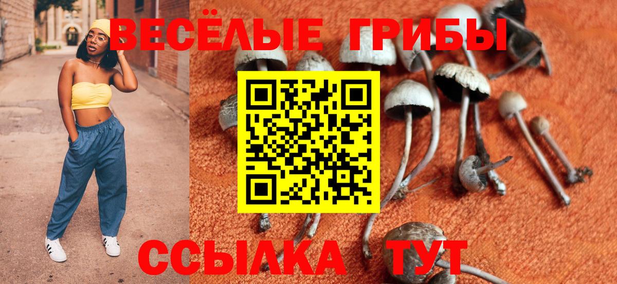 Сокол  Псилоцибиновые грибы Magic Shrooms  Вход с VPN 